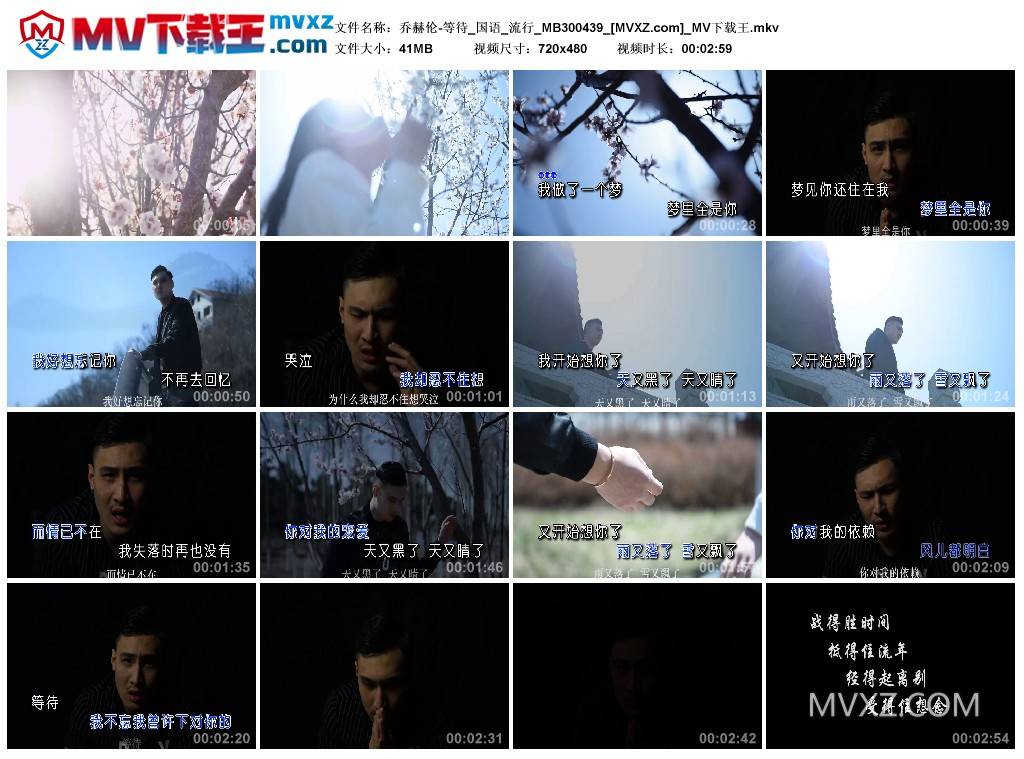 乔赫伦-等待_国语_流行_MB300439